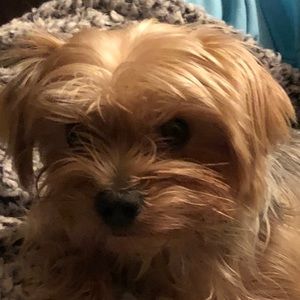 Meet your Posher, Marie